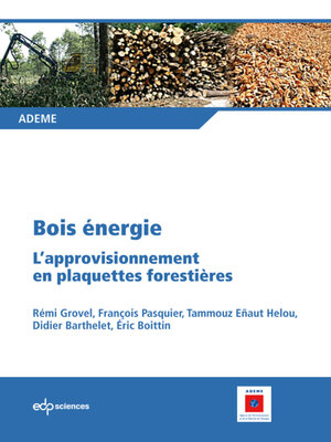cover image of Bois énergie